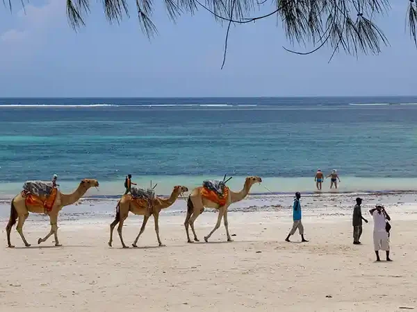Diani Beach