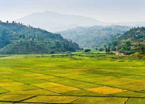 Rwanda_Farming