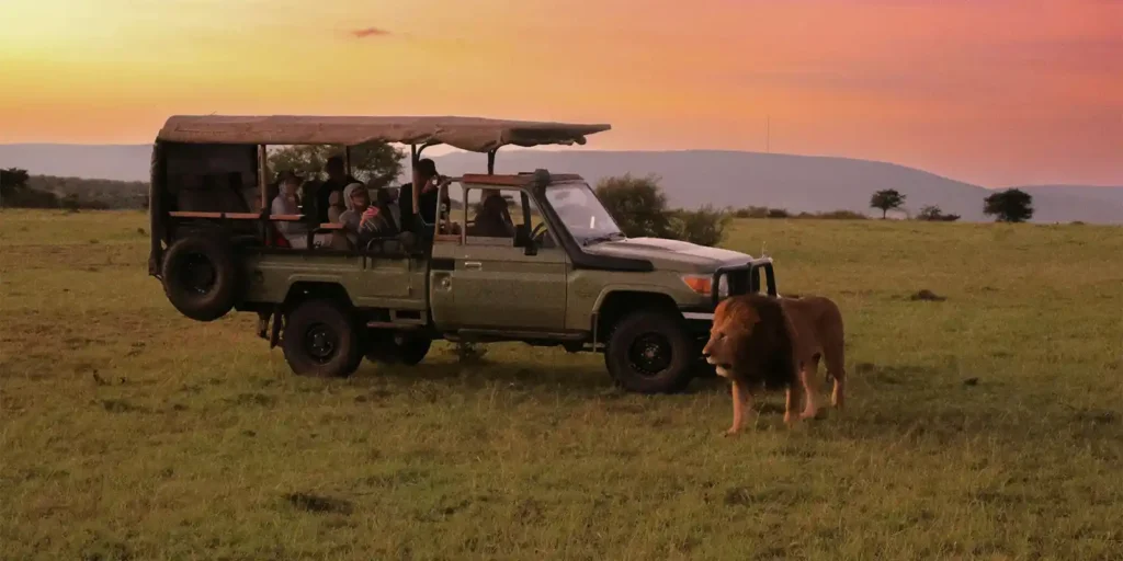 Safari-Vehicle