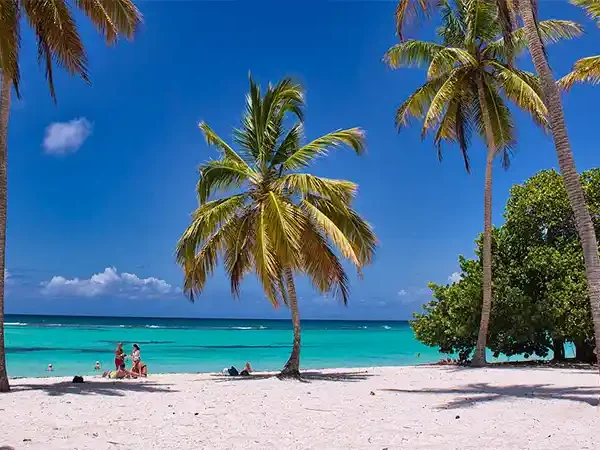 beach-6517214